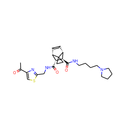 CC(=O)c1csc(CNC(=O)[C@@H]2[C@@H]3C=C[C@H]([C@H]2C(=O)NCCCCN2CCCC2)C32CC2)n1 ZINC000168399877