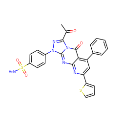 CC(=O)c1nn(-c2ccc(S(N)(=O)=O)cc2)c2nc3nc(-c4cccs4)cc(-c4ccccc4)c3c(=O)n12 ZINC000169352779