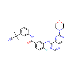 CC(C)(C#N)c1cccc(NC(=O)c2ccc(F)c(Nc3ncnc4cnc(N5CCOCC5)nc34)c2)c1 ZINC000148271276