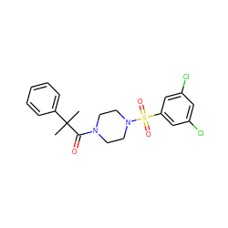 CC(C)(C(=O)N1CCN(S(=O)(=O)c2cc(Cl)cc(Cl)c2)CC1)c1ccccc1 ZINC000040949797