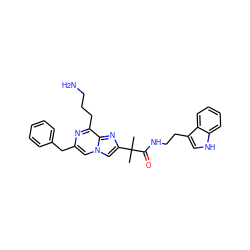 CC(C)(C(=O)NCCc1c[nH]c2ccccc12)c1cn2cc(Cc3ccccc3)nc(CCCN)c2n1 ZINC000095607608