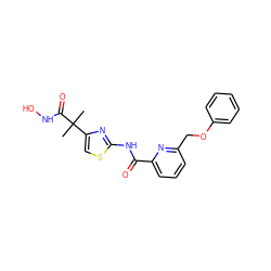 CC(C)(C(=O)NO)c1csc(NC(=O)c2cccc(COc3ccccc3)n2)n1 ZINC000028463752