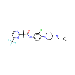 CC(C)(C(=O)Nc1ccc(N2CCC(NCC3CC3)CC2)c(Cl)c1)c1nccc(C(F)(F)F)n1 ZINC000064560480