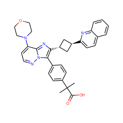 CC(C)(C(=O)O)c1ccc(-c2c([C@H]3C[C@H](c4ccc5ccccc5n4)C3)nc3c(N4CCOCC4)ccnn23)cc1 ZINC001772649193