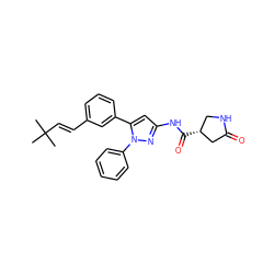 CC(C)(C)/C=C/c1cccc(-c2cc(NC(=O)[C@@H]3CNC(=O)C3)nn2-c2ccccc2)c1 ZINC000169707433