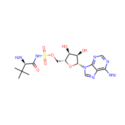 CC(C)(C)[C@@H](N)C(=O)NS(=O)(=O)OC[C@H]1O[C@@H](n2cnc3c(N)ncnc32)[C@H](O)[C@@H]1O ZINC000058661011