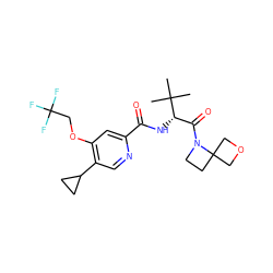 CC(C)(C)[C@@H](NC(=O)c1cc(OCC(F)(F)F)c(C2CC2)cn1)C(=O)N1CCC12COC2 ZINC000146600199