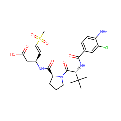 CC(C)(C)[C@@H](NC(=O)c1ccc(N)c(Cl)c1)C(=O)N1CCC[C@H]1C(=O)N[C@H](/C=C/S(C)(=O)=O)CC(=O)O ZINC000095583085
