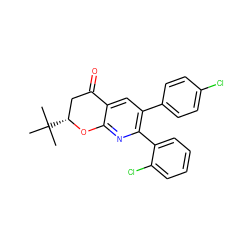 CC(C)(C)[C@@H]1CC(=O)c2cc(-c3ccc(Cl)cc3)c(-c3ccccc3Cl)nc2O1 ZINC000049053916