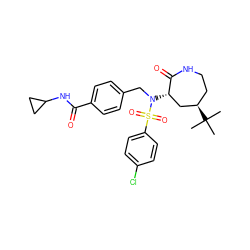 CC(C)(C)[C@@H]1CCNC(=O)[C@@H](N(Cc2ccc(C(=O)NC3CC3)cc2)S(=O)(=O)c2ccc(Cl)cc2)C1 ZINC000029129131