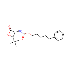 CC(C)(C)[C@@H]1OC(=O)[C@@H]1NC(=O)OCCCCCc1ccccc1 ZINC000148839053