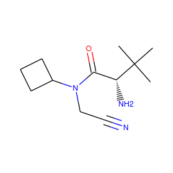 CC(C)(C)[C@H](N)C(=O)N(CC#N)C1CCC1 ZINC000014948847