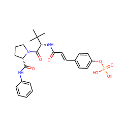 CC(C)(C)[C@H](NC(=O)/C=C/c1ccc(OP(=O)(O)O)cc1)C(=O)N1CCC[C@H]1C(=O)Nc1ccccc1 ZINC000653787738