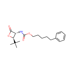 CC(C)(C)[C@H]1OC(=O)[C@@H]1NC(=O)OCCCCCc1ccccc1 ZINC000148858973