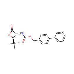 CC(C)(C)[C@H]1OC(=O)[C@@H]1NC(=O)OCc1ccc(-c2ccccc2)cc1 ZINC000148764998