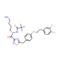 CC(C)(C)C(=O)N[C@@H](CCCCN)C(=O)c1noc(Cc2ccc(OCCc3ccc(Cl)c(Cl)c3)cc2)n1 ZINC000042923633