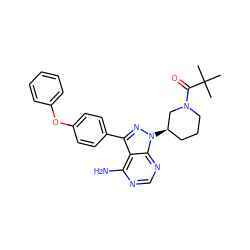 CC(C)(C)C(=O)N1CCC[C@@H](n2nc(-c3ccc(Oc4ccccc4)cc3)c3c(N)ncnc32)C1 ZINC000208121048