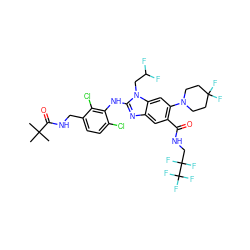 CC(C)(C)C(=O)NCc1ccc(Cl)c(Nc2nc3cc(C(=O)NCC(F)(F)C(F)(F)F)c(N4CCC(F)(F)CC4)cc3n2CC(F)F)c1Cl ZINC000169700948