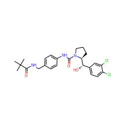 CC(C)(C)C(=O)NCc1ccc(NC(=O)N2CCC[C@H]2[C@@H](O)c2ccc(Cl)c(Cl)c2)cc1 ZINC000026648430