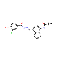 CC(C)(C)C(=O)Nc1ccc(/C=N/NC(=O)c2ccc(O)c(Cl)c2)c2ccccc12 ZINC000013492721