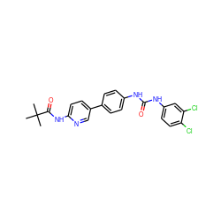 CC(C)(C)C(=O)Nc1ccc(-c2ccc(NC(=O)Nc3ccc(Cl)c(Cl)c3)cc2)cn1 ZINC000473136129