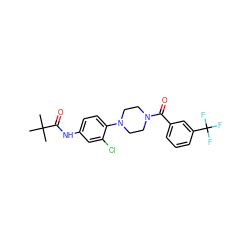 CC(C)(C)C(=O)Nc1ccc(N2CCN(C(=O)c3cccc(C(F)(F)F)c3)CC2)c(Cl)c1 ZINC000043019020