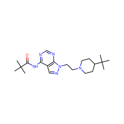 CC(C)(C)C(=O)Nc1ncnc2c1cnn2CCN1CCC(C(C)(C)C)CC1 ZINC000208731037