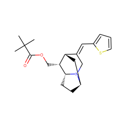 CC(C)(C)C(=O)OC[C@@H]1[C@H]2C[C@H]3CC[C@H]1N3C/C2=C\c1cccs1 ZINC000253638543