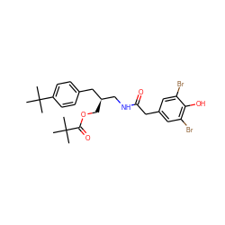 CC(C)(C)C(=O)OC[C@H](CNC(=O)Cc1cc(Br)c(O)c(Br)c1)Cc1ccc(C(C)(C)C)cc1 ZINC000064447439