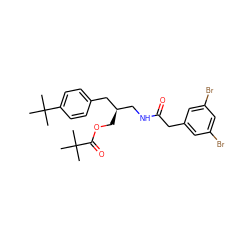 CC(C)(C)C(=O)OC[C@H](CNC(=O)Cc1cc(Br)cc(Br)c1)Cc1ccc(C(C)(C)C)cc1 ZINC000064453510