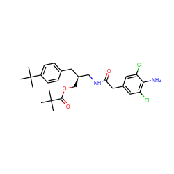 CC(C)(C)C(=O)OC[C@H](CNC(=O)Cc1cc(Cl)c(N)c(Cl)c1)Cc1ccc(C(C)(C)C)cc1 ZINC000064436961