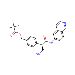 CC(C)(C)C(=O)OCc1ccc([C@H](CN)C(=O)Nc2ccc3cnccc3c2)cc1 ZINC000653704637