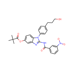 CC(C)(C)C(=O)Oc1ccc2c(c1)nc(NC(=O)c1cccc([N+](=O)[O-])c1)n2-c1ccc(CCCO)cc1 ZINC000653748001