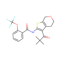 CC(C)(C)C(=O)c1c(NC(=O)c2ccccc2OC(F)(F)F)sc2c1CCOC2 ZINC000095563650