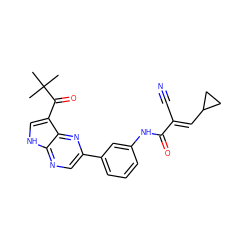 CC(C)(C)C(=O)c1c[nH]c2ncc(-c3cccc(NC(=O)/C(C#N)=C/C4CC4)c3)nc12 ZINC000224007786