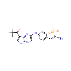 CC(C)(C)C(=O)c1c[nH]c2ncc(Nc3ccc(/C=C(/C#N)S(C)(=O)=O)cc3)nc12 ZINC000205474024