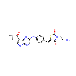 CC(C)(C)C(=O)c1c[nH]c2ncc(Nc3ccc(/C=C4\SC(=O)N(CCN)C4=O)cc3)nc12 ZINC000148962036