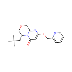 CC(C)(C)C[C@@H]1COCc2nc(OCc3ccccn3)cc(=O)n21 ZINC000215961773