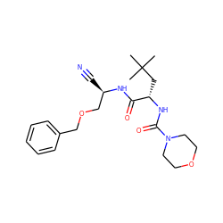 CC(C)(C)C[C@H](NC(=O)N1CCOCC1)C(=O)N[C@H](C#N)COCc1ccccc1 ZINC000013492536