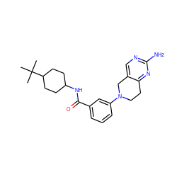 CC(C)(C)C1CCC(NC(=O)c2cccc(N3CCc4nc(N)ncc4C3)c2)CC1 ZINC000169710055