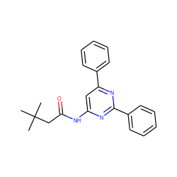 CC(C)(C)CC(=O)Nc1cc(-c2ccccc2)nc(-c2ccccc2)n1 ZINC000006716089