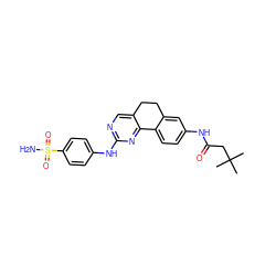 CC(C)(C)CC(=O)Nc1ccc2c(c1)CCc1cnc(Nc3ccc(S(N)(=O)=O)cc3)nc1-2 ZINC000049054361