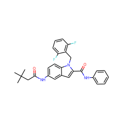 CC(C)(C)CC(=O)Nc1ccc2c(c1)cc(C(=O)Nc1ccccc1)n2Cc1c(F)cccc1F ZINC000028525976