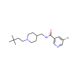 CC(C)(C)CCN1CCC(CNC(=O)c2cncc(Br)c2)CC1 ZINC000040955138