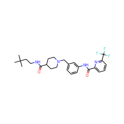 CC(C)(C)CCNC(=O)C1CCN(Cc2cccc(NC(=O)c3cccc(C(F)(F)F)n3)c2)CC1 ZINC001772590507