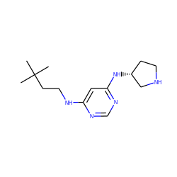 CC(C)(C)CCNc1cc(N[C@@H]2CCNC2)ncn1 ZINC000073158172