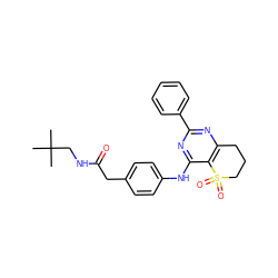 CC(C)(C)CNC(=O)Cc1ccc(Nc2nc(-c3ccccc3)nc3c2S(=O)(=O)CCC3)cc1 ZINC000096927478