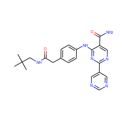 CC(C)(C)CNC(=O)Cc1ccc(Nc2nc(-c3cncnc3)ncc2C(N)=O)cc1 ZINC000096937949