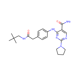 CC(C)(C)CNC(=O)Cc1ccc(Nc2nc(N3CCCC3)ncc2C(N)=O)cc1 ZINC000096938251