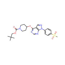 CC(C)(C)COC(=O)N1CCC(Oc2ncnc3c2cnn3-c2ccc(S(C)(=O)=O)cc2)CC1 ZINC000071318269